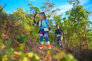 BIB: 241
                            <button type="button" onclick="openModal(21840632)" class="btn btn-primary btn-sm float-right btn-popup" data-toggle="modal" data-target=".modal-high-quality">
                        <i class="fas fa-shopping-cart"></i> Add to Cart
                    </button>
                                            <button type="button" onclick="isThisMe(21840632, true)" class="btn btn-success btn-sm float-right btn-popup btn-isme hidden" data-toggle="tooltip" data-placement="bottom" title="นี่คือรูปของคุณใช่ไหม คลิกที่นี่เพื่อเอาเข้าอัลบั้ม">
                        <i class="fas fa-plus"></i> Add to album
                    </button>
                    <button type="button" onclick="isThisMe(21840632, false)" class="btn btn-warning btn-sm float-right btn-popup btn-isnotme hidden">
                        <i class="fas fa-ban"></i> Remove from album
                    </button>